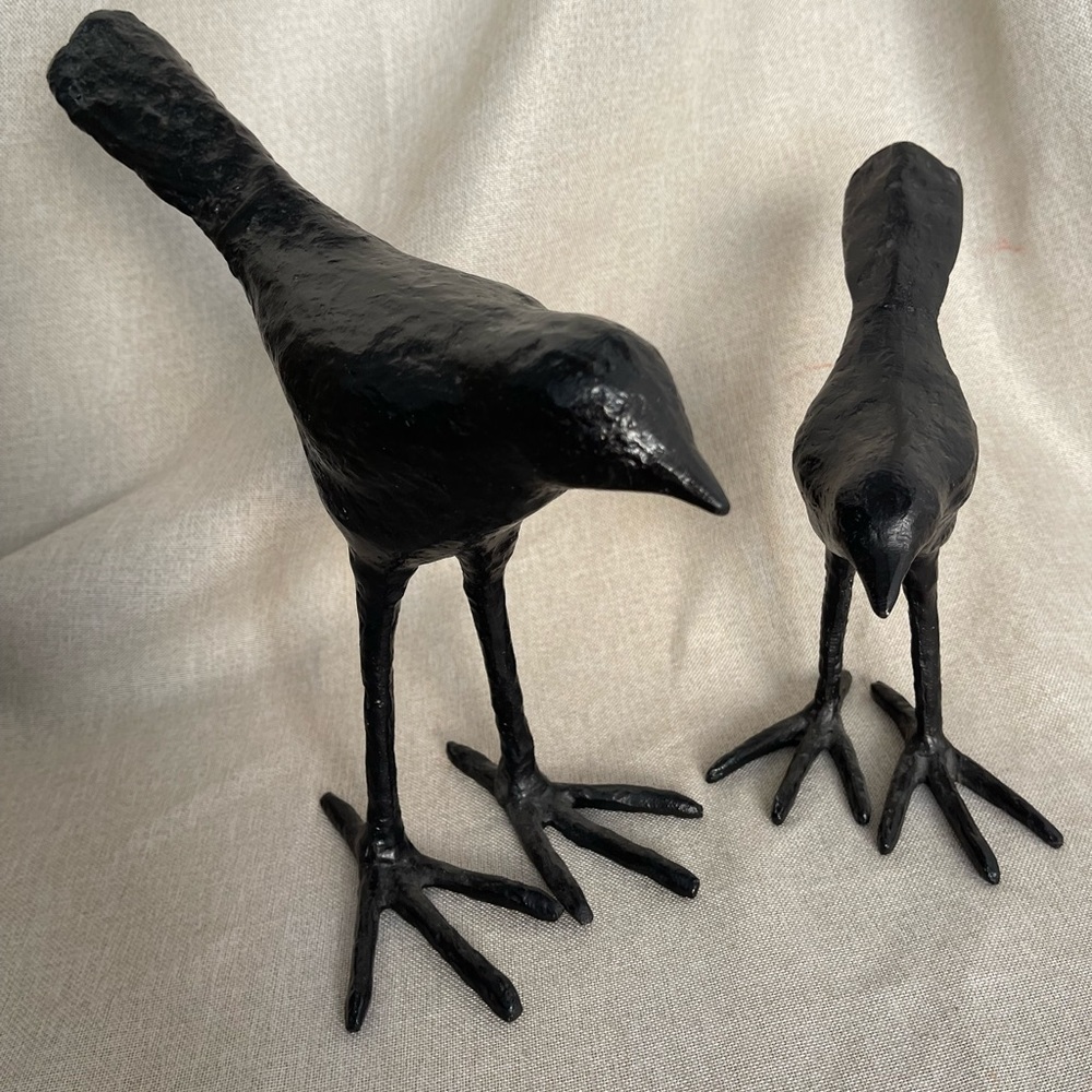 Black Metal Birds Set Of 2